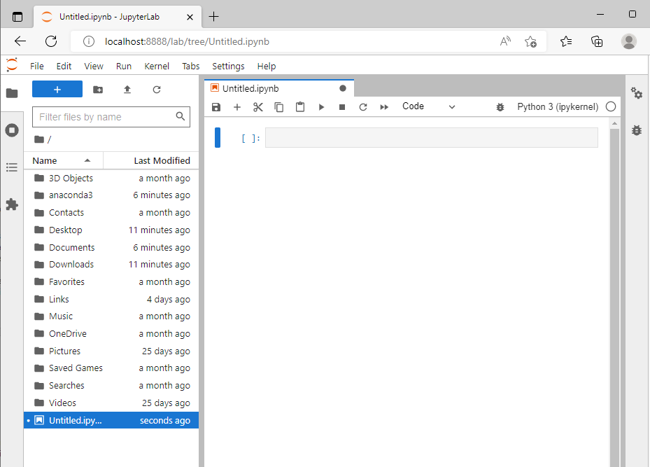 A blank IPython notebook file in Jupyter Lab.