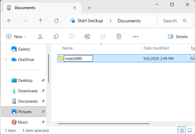 Renaming the new folder in Windows File Explorer.